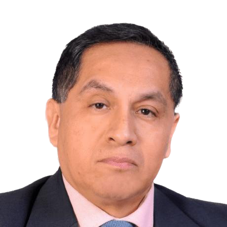MENDOZA SILVA LUIS FERNANDO