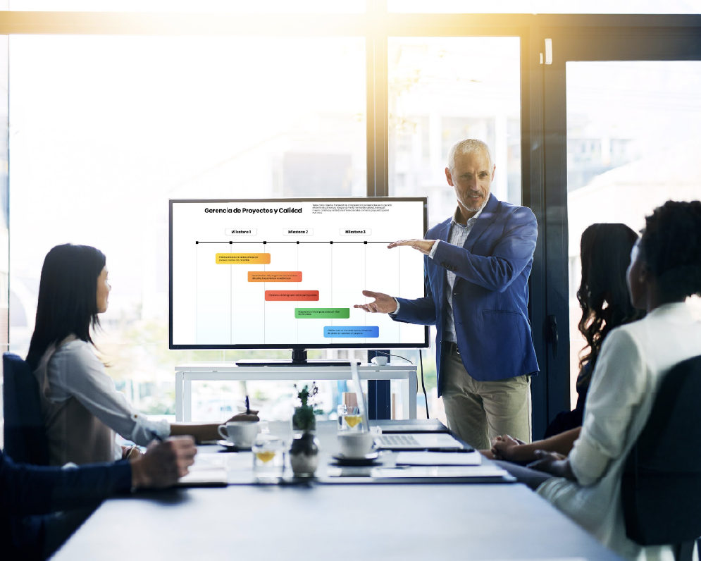Gerencia de Proyectos y Calidad